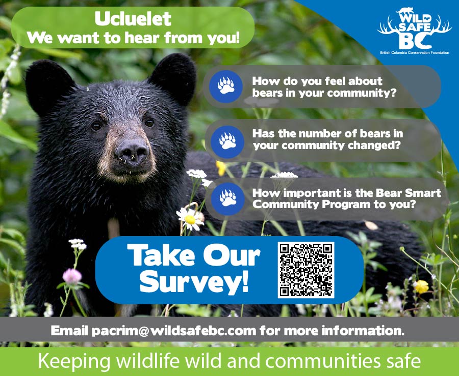 Survey graphic Ucluelet 01 1