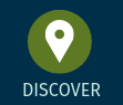 Discover